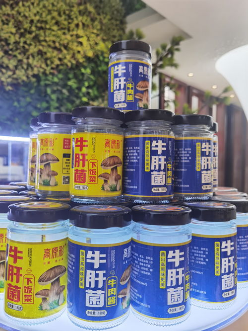 全國(guó)野生菌廚藝爭(zhēng)霸賽今日在云南玉溪江川舉行