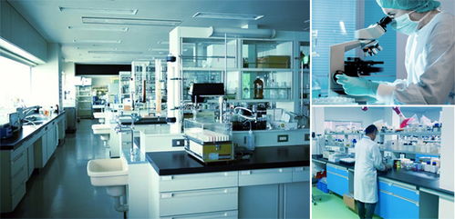 妝品面膜代加工,選對實(shí)力是關(guān)鍵